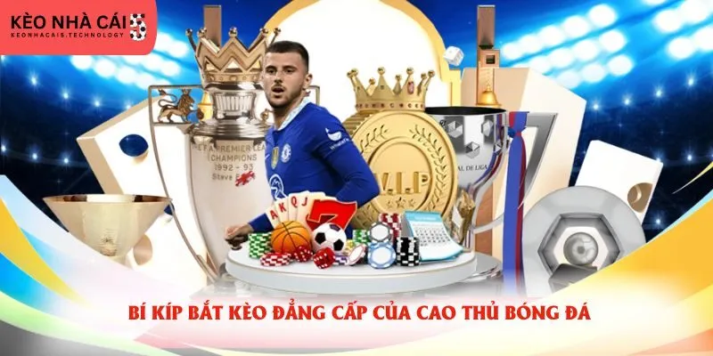 Bí kíp bắt kèo đẳng cấp của cao thủ bóng đá