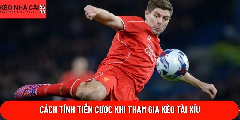 Cách tính tiền cược khi tham gia kèo tài xỉu