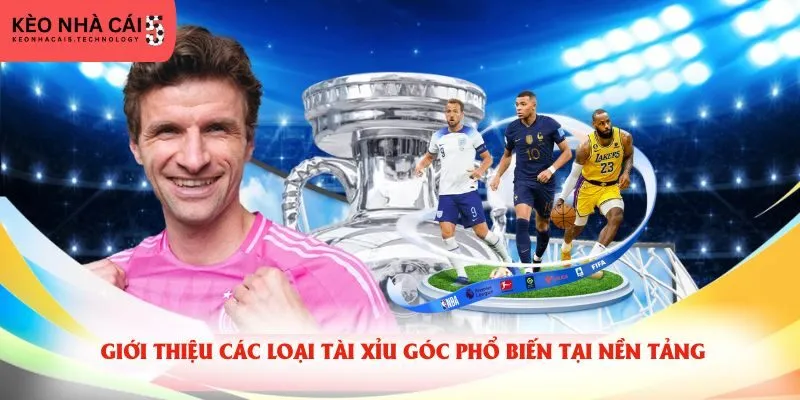 Giới thiệu các loại tài xỉu góc phổ biến tại nền tảng